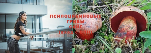 jwh Лиски